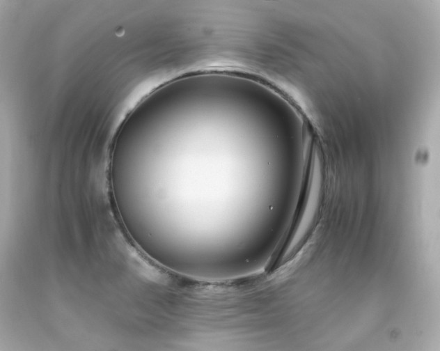 X0000091941374200709121610