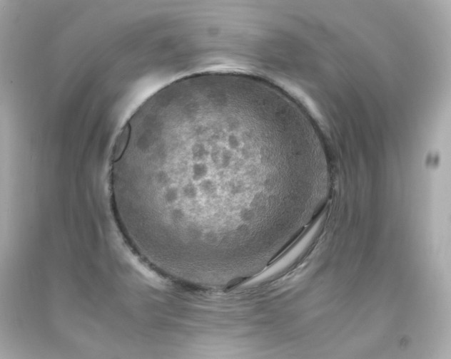 X0000091941375200709121610