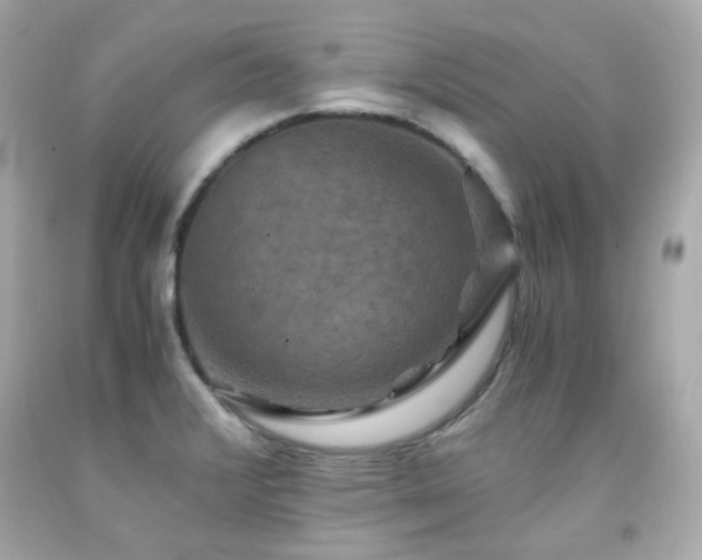 X0000091941376200709121610