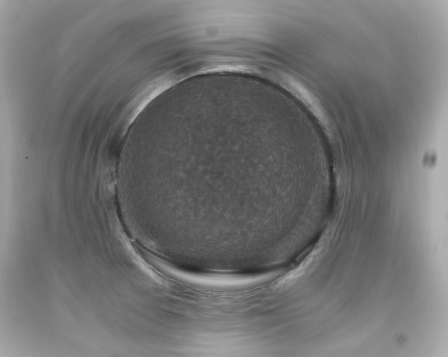 X0000091941377200709121610