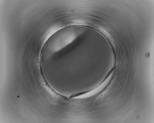 X0000091941378200709121610