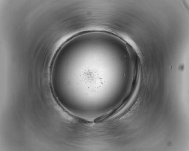 X0000091941380200709121610