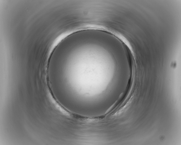 X0000091941381200709121610