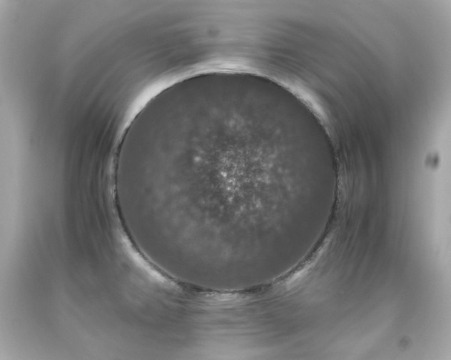 X0000091941382200709121610