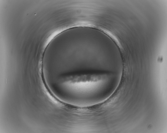 X0000091941383200709121610