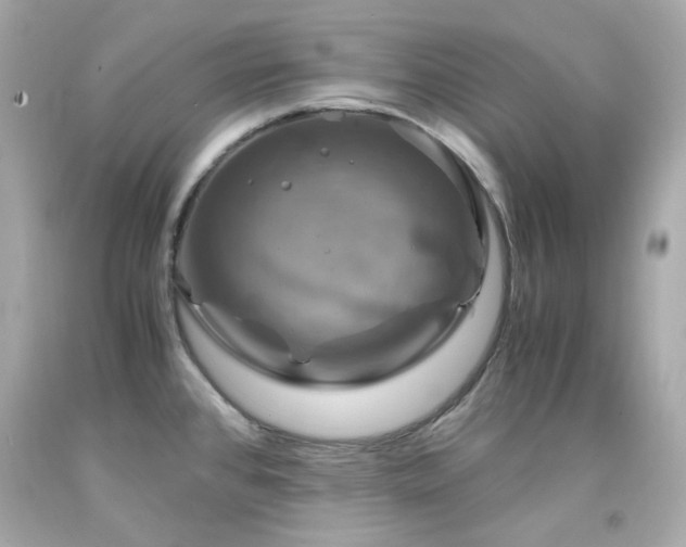 X0000091941384200709121610