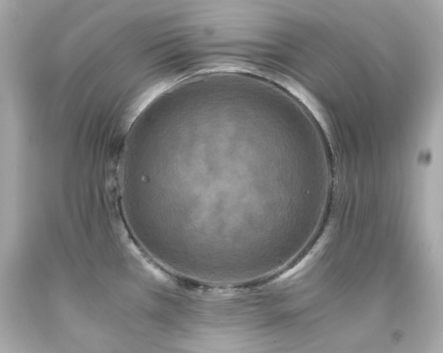 X0000091941385200709121610