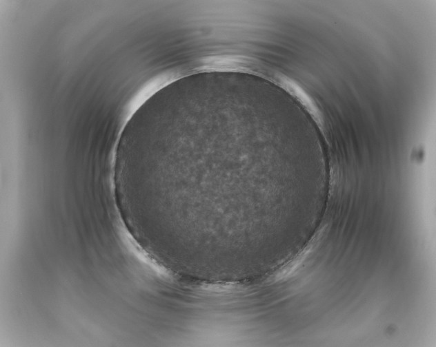 X0000091941386200709121610