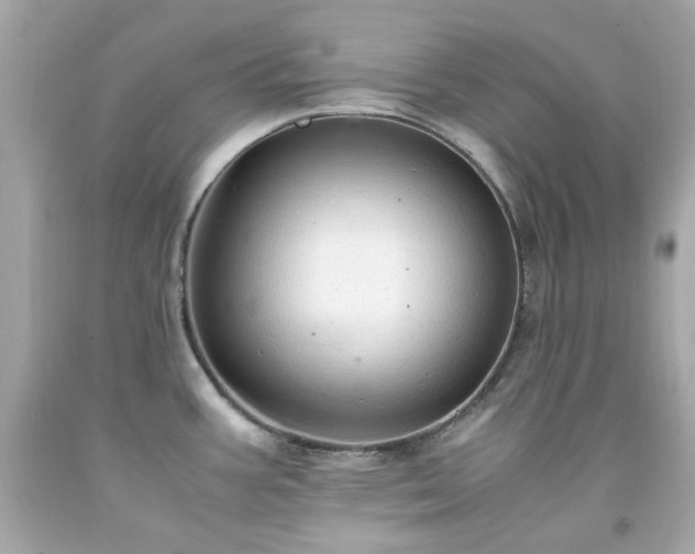 X0000091941387200709121610