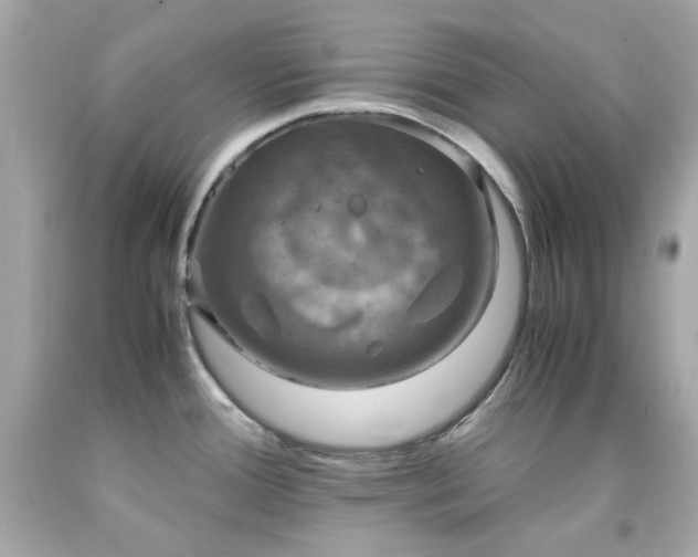 X0000091941388200709121610