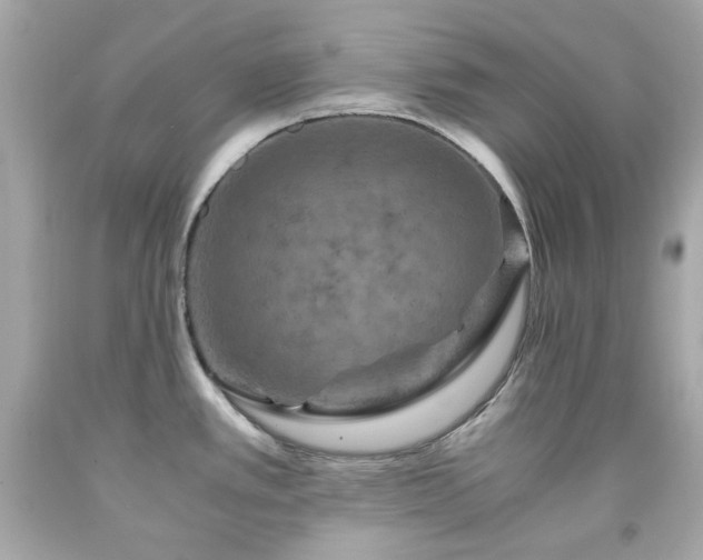 X0000091941389200709121610