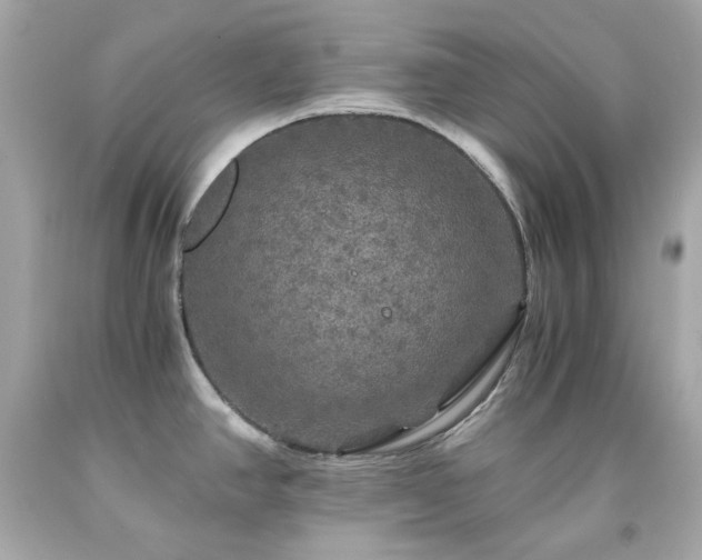 X0000091941390200709121610