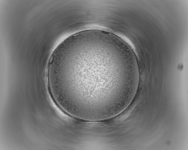 X0000091941391200709121610