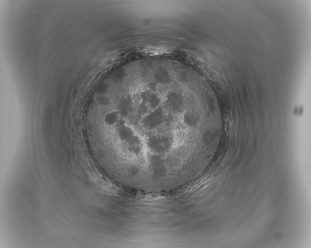 X0000091941393200709121610