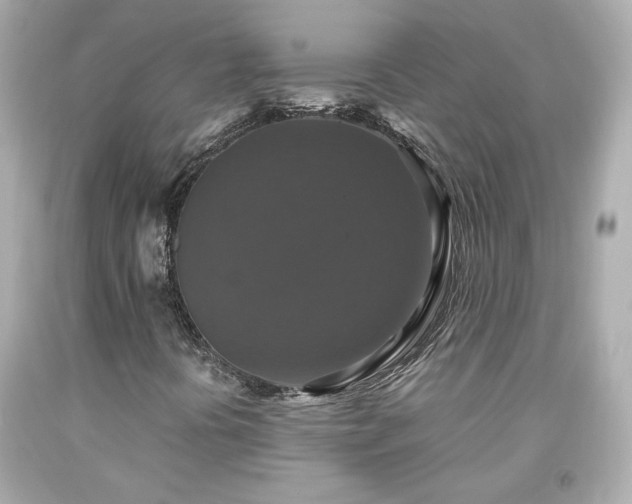 X0000091941394200709121610