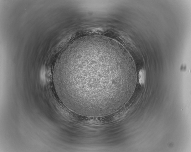 X0000091941395200709121610