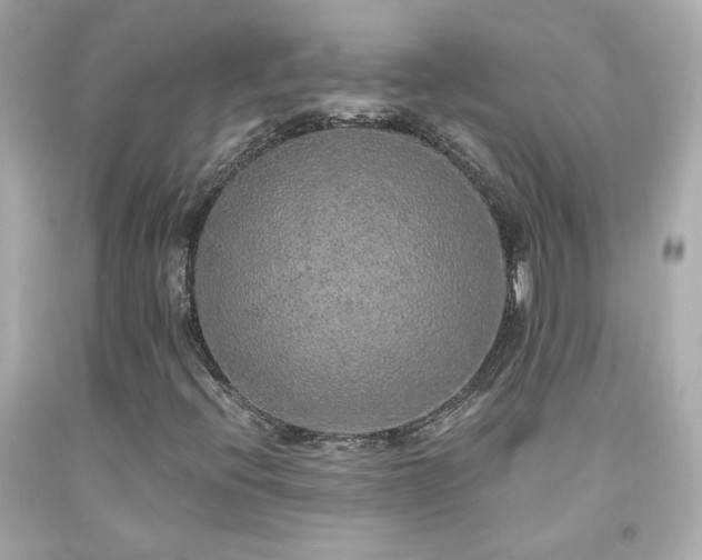 X0000091941396200709121610