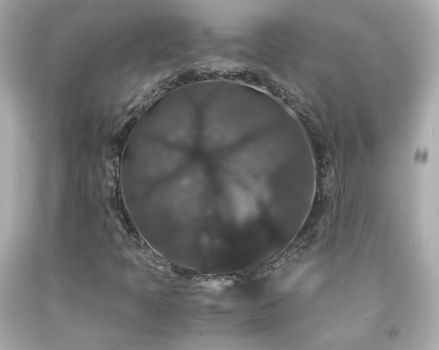 X0000091941397200709121610