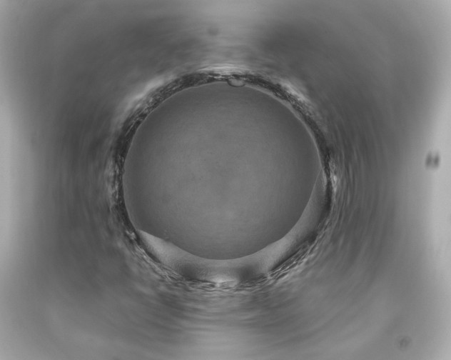 X0000091941398200709121610