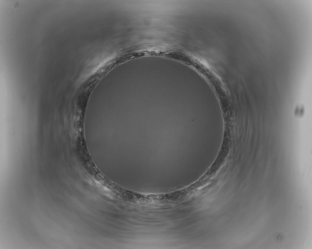 X0000091941399200709121610