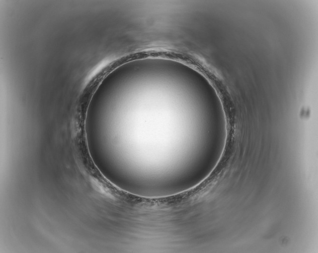 X0000091941400200709121610