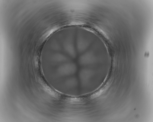 X0000091941401200709121610