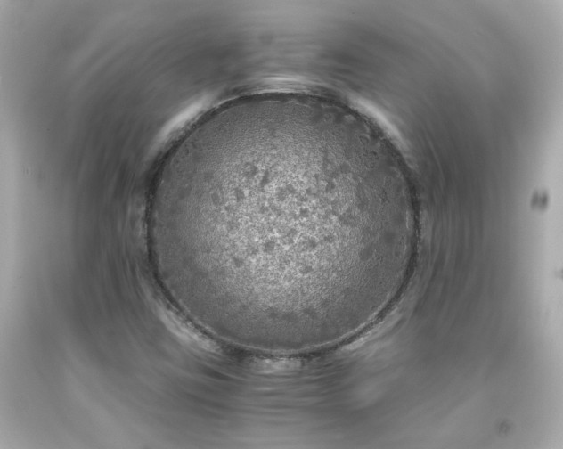 X0000091941403200709121610