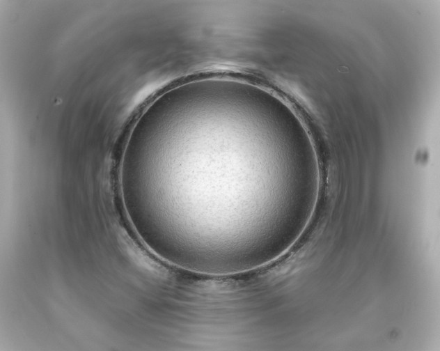 X0000091941404200709121610