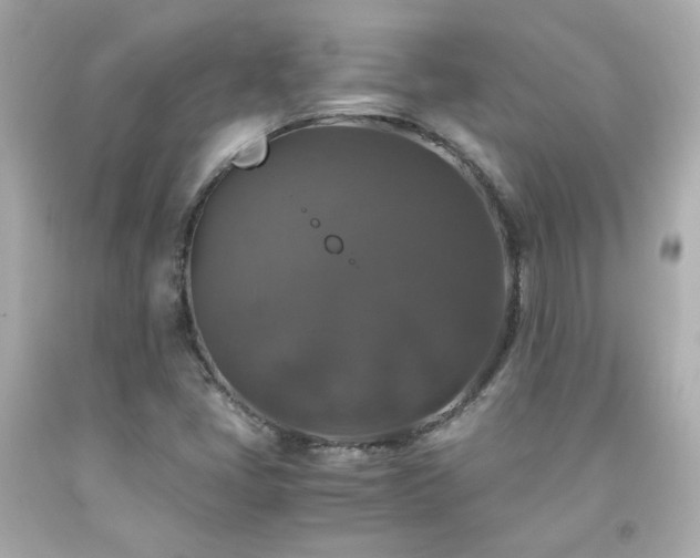 X0000091941405200709121610