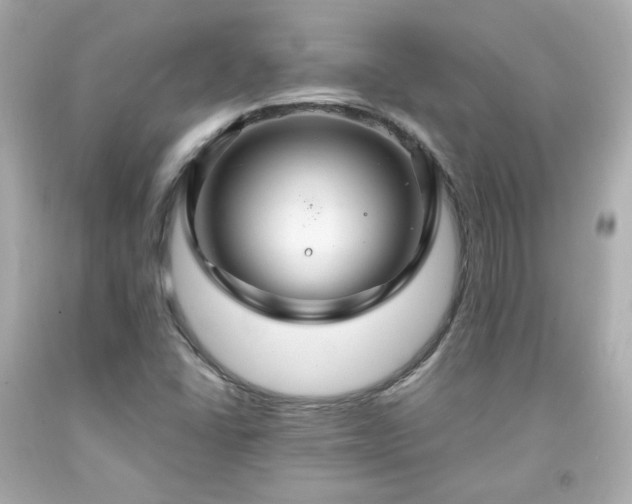 X0000091941406200709121610