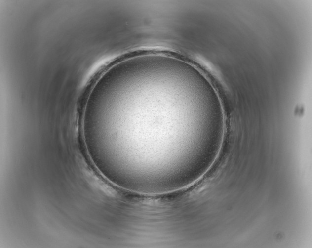 X0000091941408200709121610