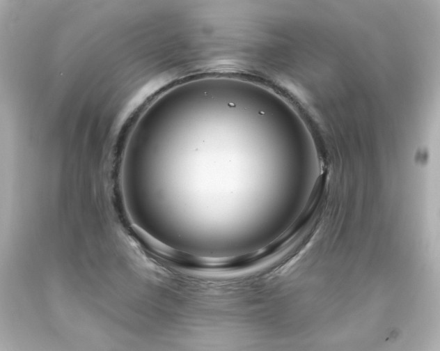 X0000091941410200709121610