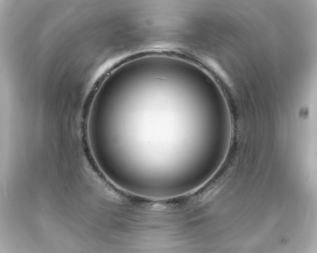 X0000091941412200709121610