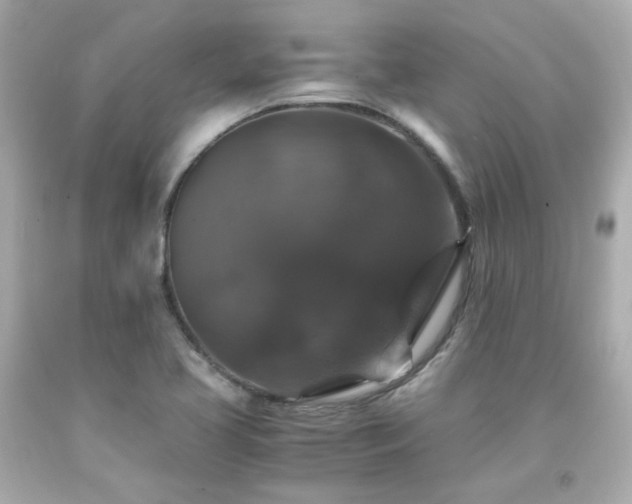 X0000091941413200709121610