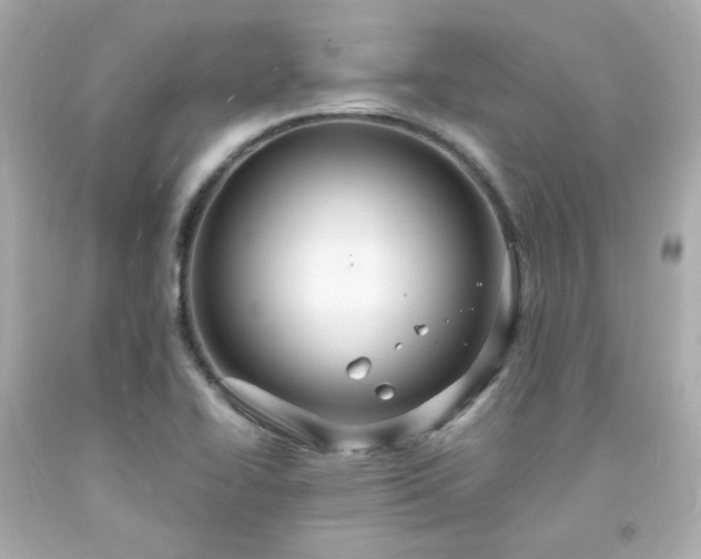 X0000091941414200709121610