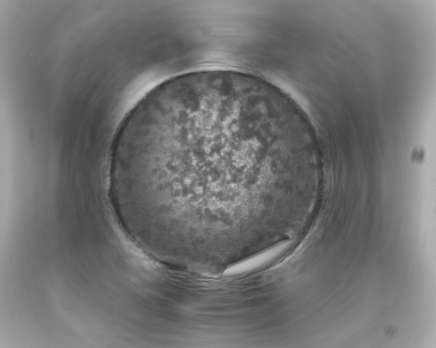 X0000091941415200709121610