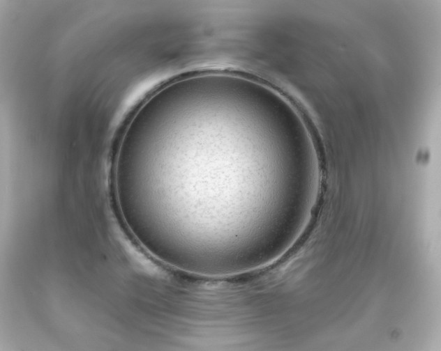 X0000091941416200709121610