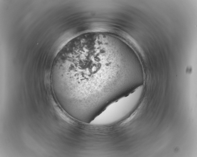 X0000091941417200709121610