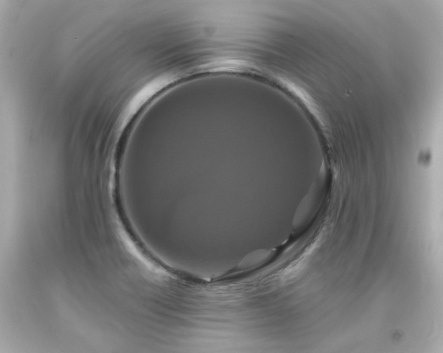 X0000091941418200709121610