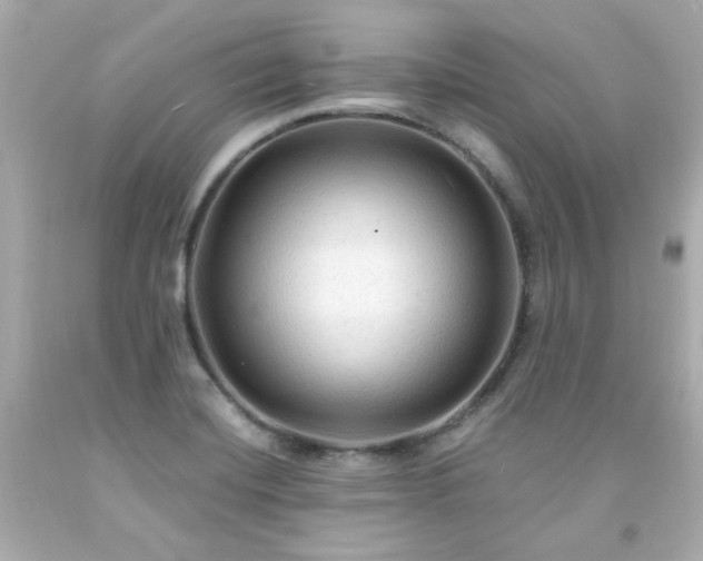 X0000091941420200709121610