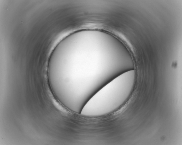 X0000091941421200709121610