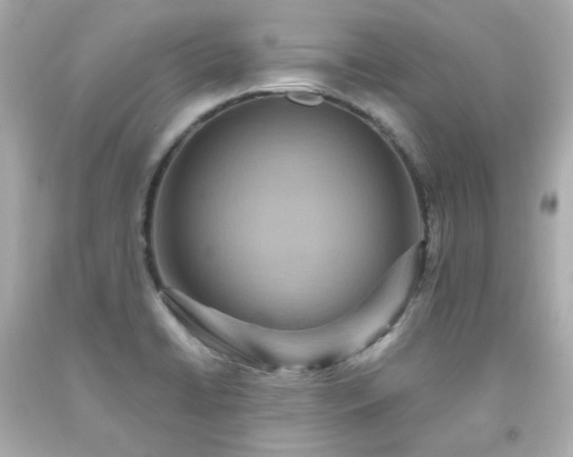 X0000091941422200709121610