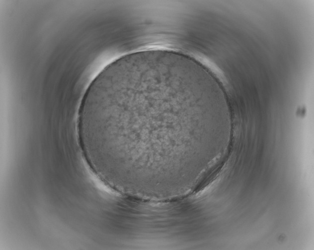 X0000091941423200709121610