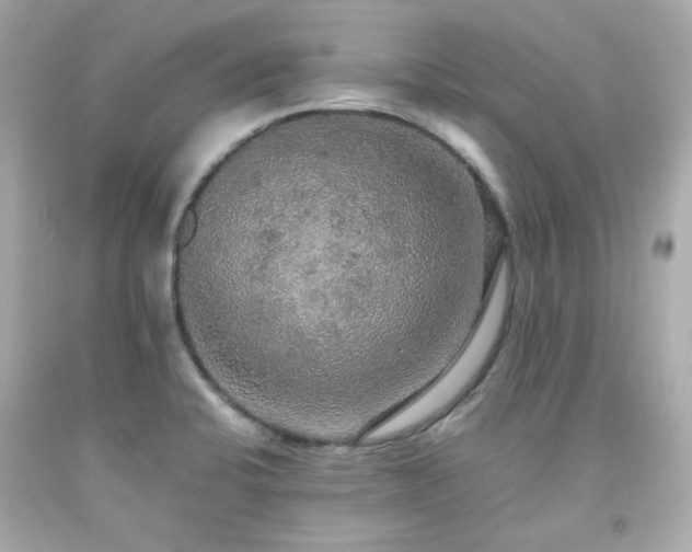 X0000091941424200709121610