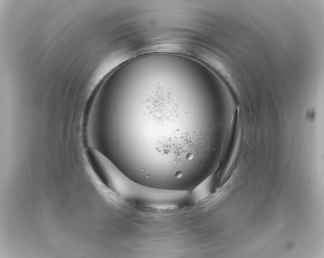 X0000091941426200709121610