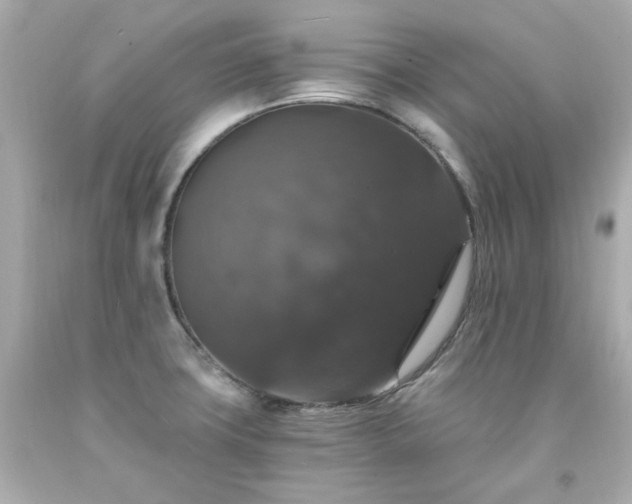 X0000091941427200709121610