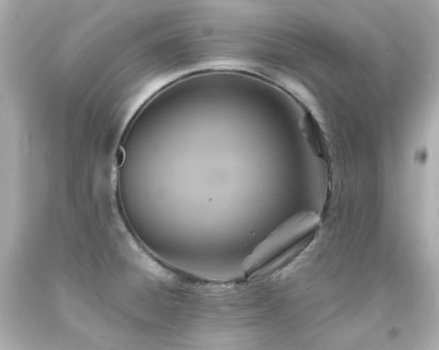 X0000091941428200709121610