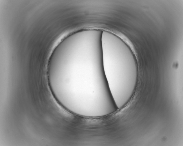 X0000091941429200709121610