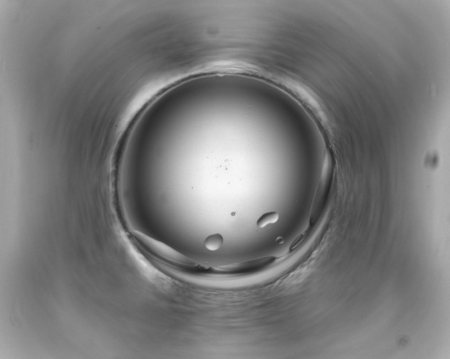 X0000091941430200709121610