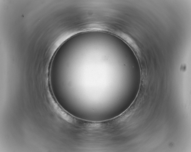 X0000091941431200709121610